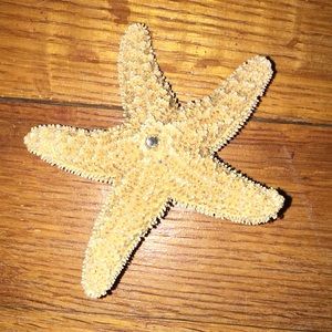 Starfish Clip